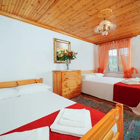 Nicole Theologos (Thasos)