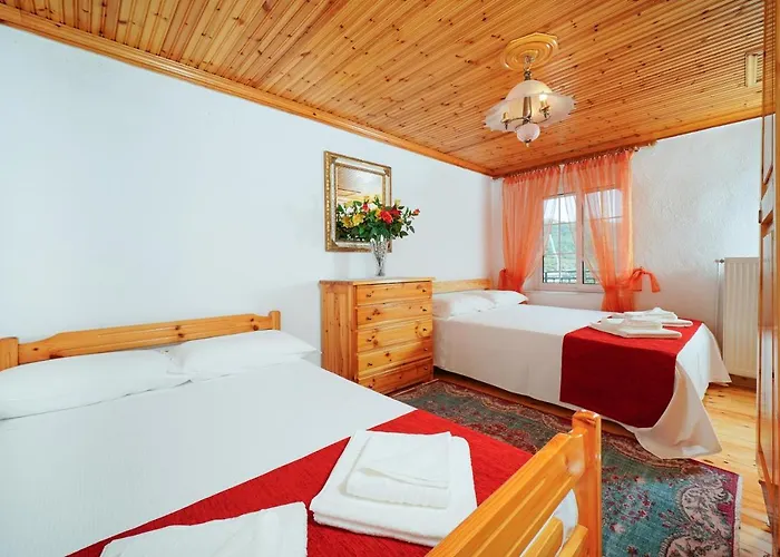 Nicole Theologos (Thasos)